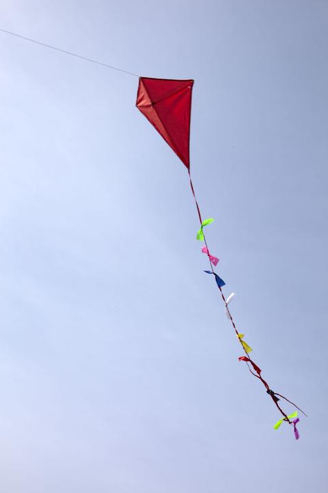 Actual product image Kikkerland Huckleberry Kite