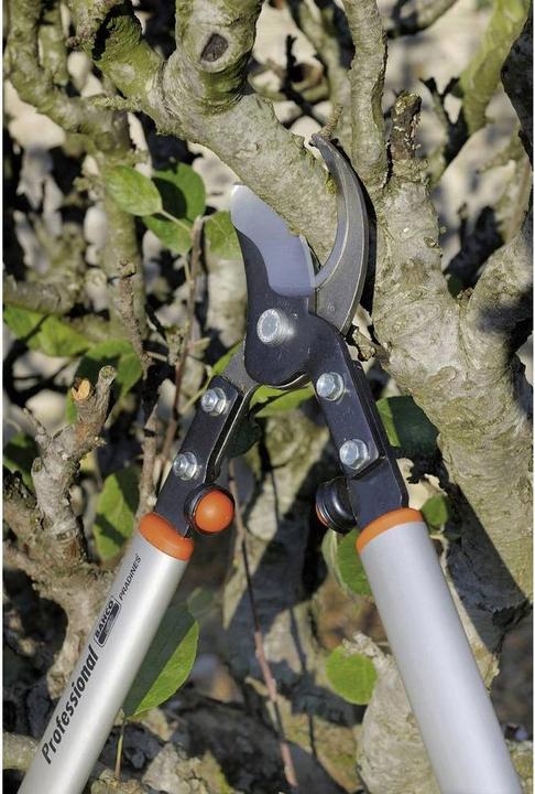 Image du produit Bahco Ciseaux d'ébranchage pour arbres fruitiers, P160-SL-75