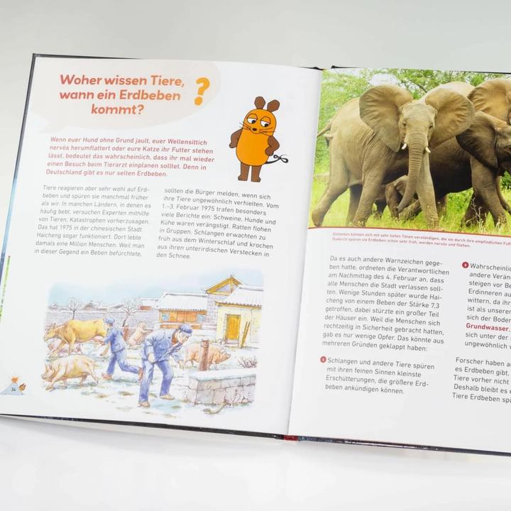 Actual product image Frag doch mal... die Maus!: Vulkane und Erdbeben (German, Sylvia Englert, 2019)