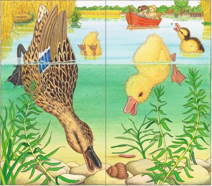 Produktbild Ravensburger Ich bin die kleine Ente (Deutsch, Helmut Spanner, 2016)