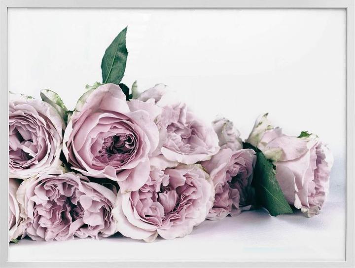 Produktbild Trenddeko Violette Pfingstrosen (30 x 24 cm)
