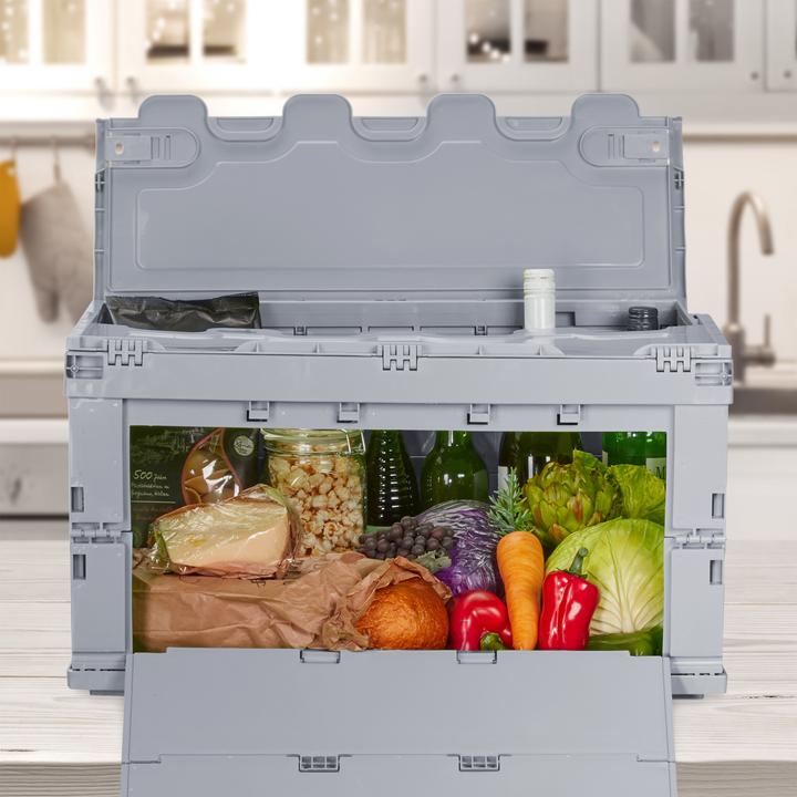 Image du produit Relaxdays Boîte de transport (58.5 x 39.5 x 32.5 cm, 60 l)