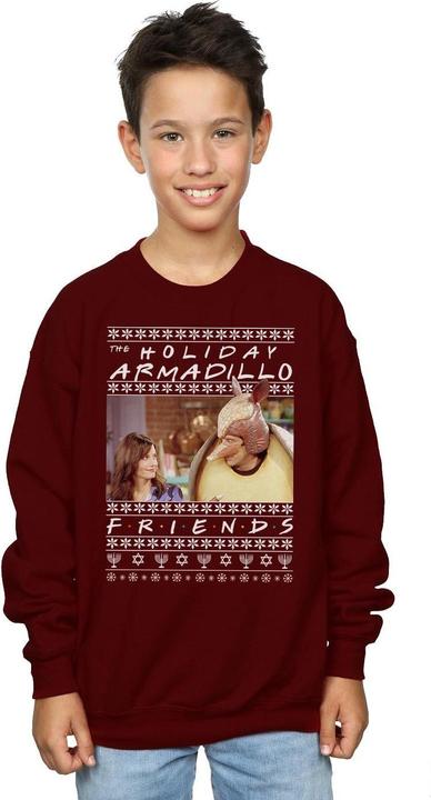 Immagine prodotto Friends Fair Isle Holiday Armadillo Felpa Ragazzi (116)