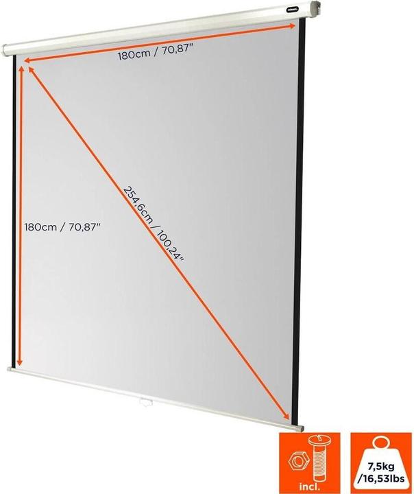 Actual product image Celexon Roller blind economy (100", 16:9, 21:9, 4:3, 1:1)