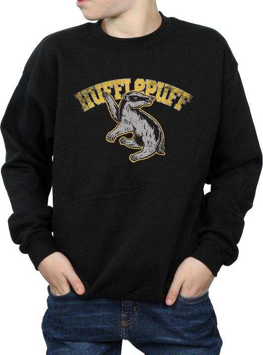Image du produit - Sweat HUFFLEPUFF SPORT EMBLEM - Garçon (128)