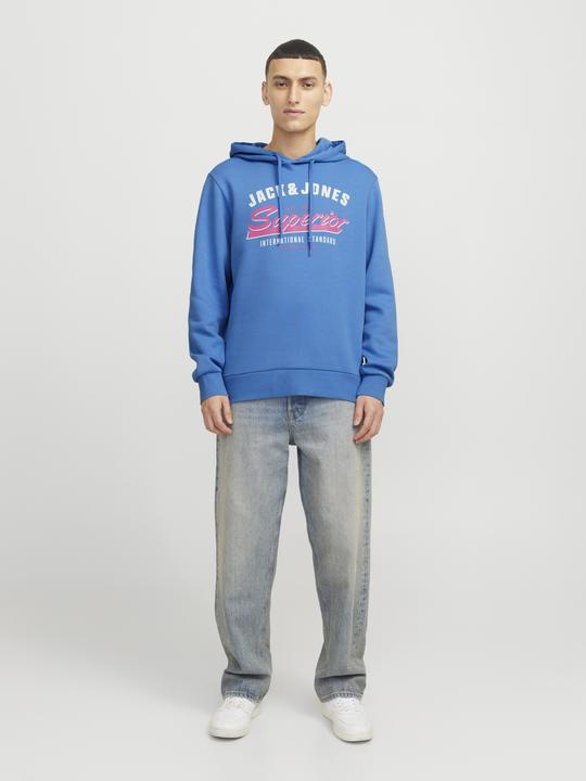 Produktbild Jack & Jones JJELOGO SWEAT HOOD 2 COL 24/25 NOOS (S)