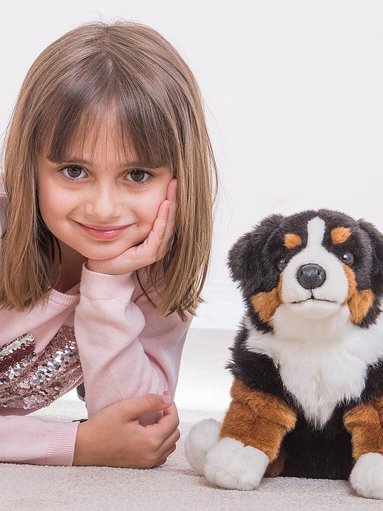 Immagine prodotto Teddy Hermann Bernese (25 cm)