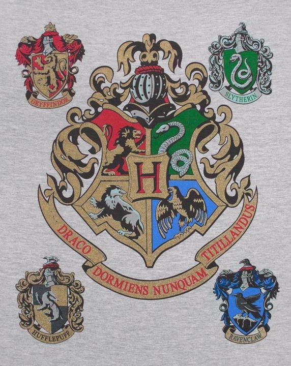 Produktbild Hogwarts RaglanOberteil (XL)