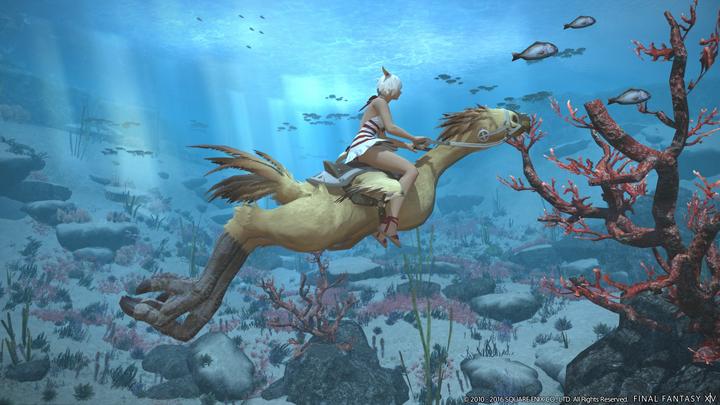 Produktbild Plaion Final Fantasy XIV Stormblood (PS4, IT)