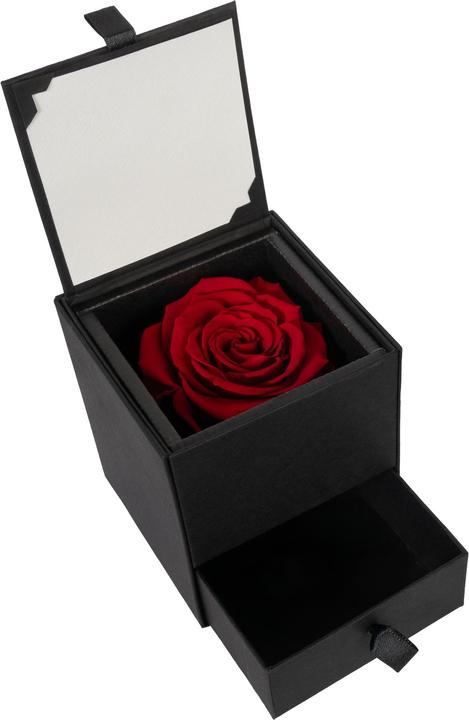 Produktbild Migros Ostschweiz Premium Rose (Stabilisierte Rose) in Box mit Schublade (Infinity Blumen)