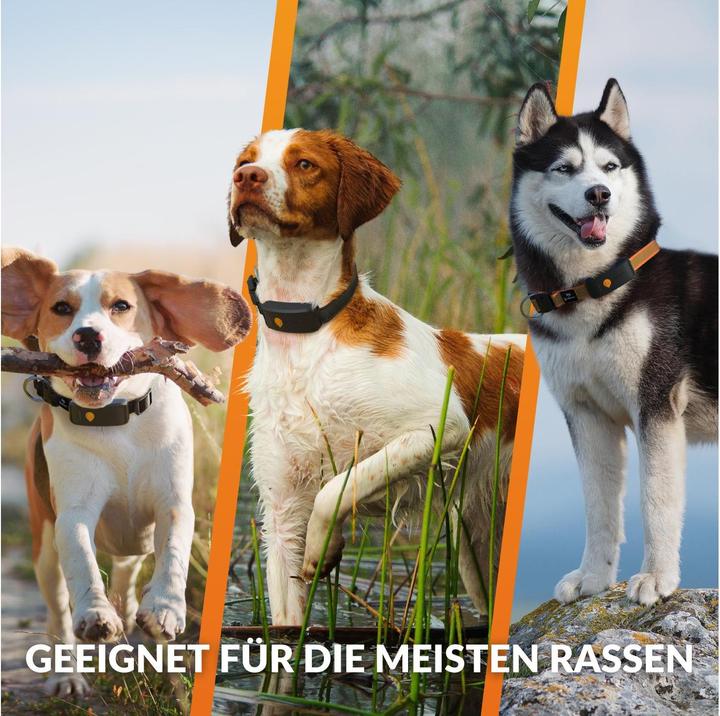 Produktbild Weenect GPS-Tracker (XL, Hund, Allgemein)