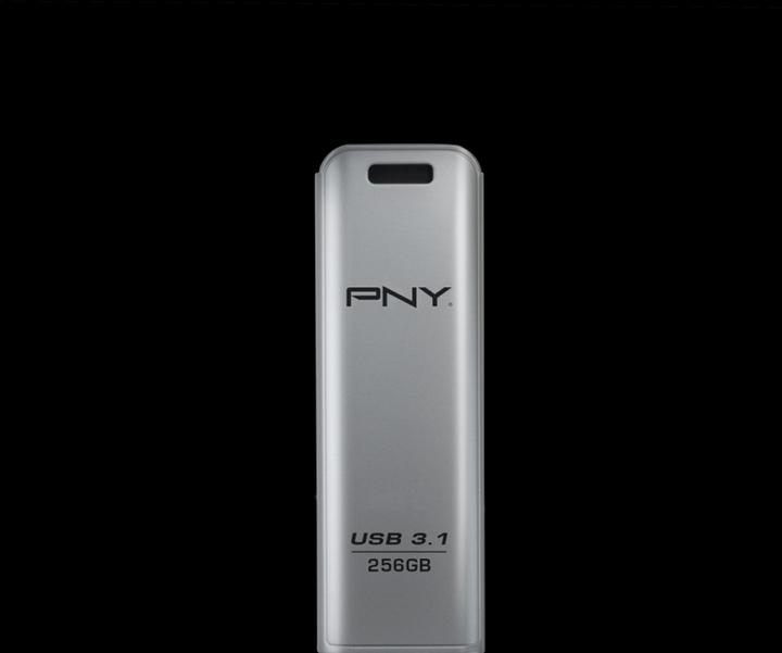 Actual product image PNY Elite Steel (256 GB, USB-A, USB 3.1)