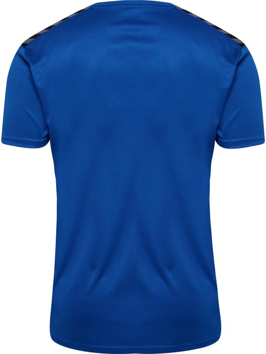 Image du produit hummel Hmlauthentic Pl Jersey S/S (XL)