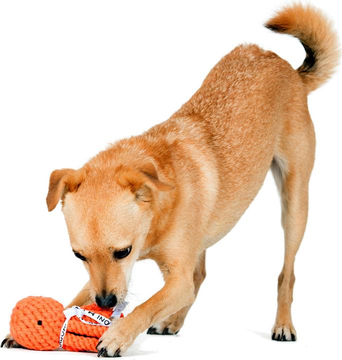 Image du produit Laboni Thaddeus Poulpe (Apporter, Jouet à mâcher pour chien, Jouet à lancer chien)