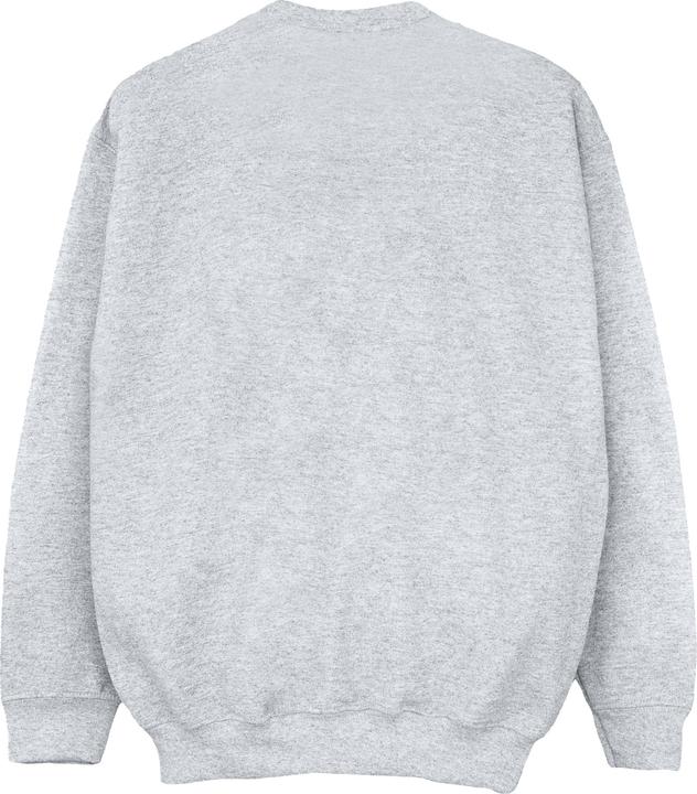 Actual product image Disney Boys Frozen Olaf Polaroid Sweatshirt (152, 158)