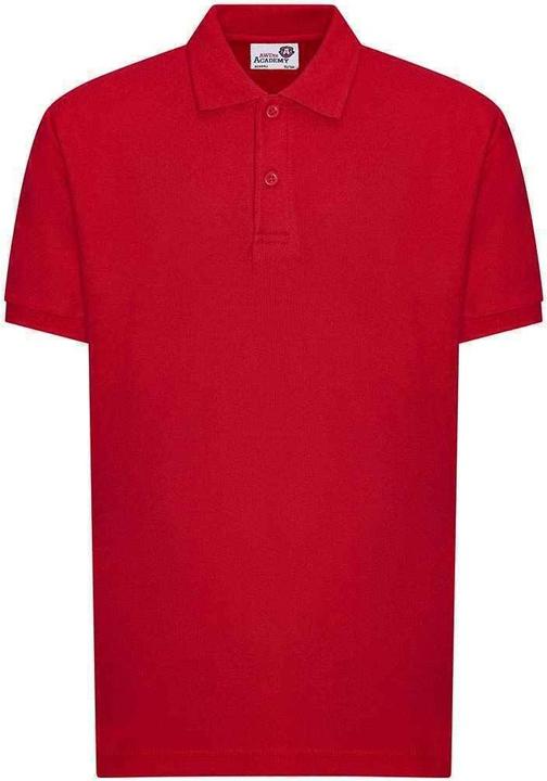 Actual product image Awdis Academy polo shirt (116)