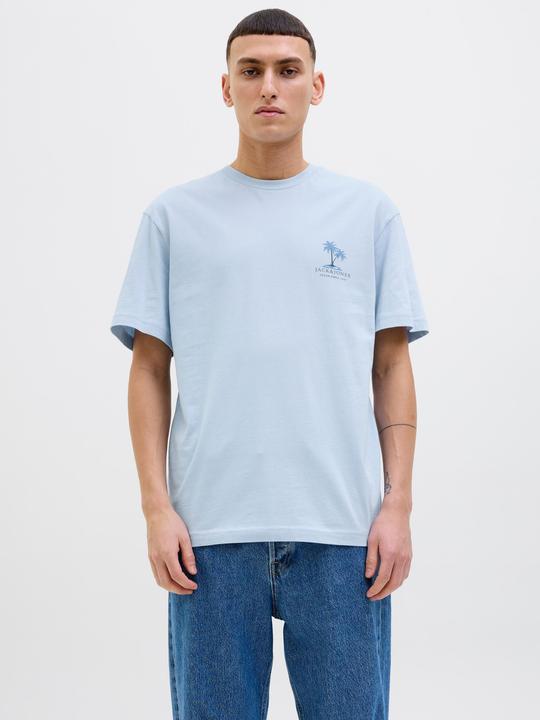 Produktbild Jack & Jones Jjsummer Vibes Tee Ss Crew Neck Ln (XL)