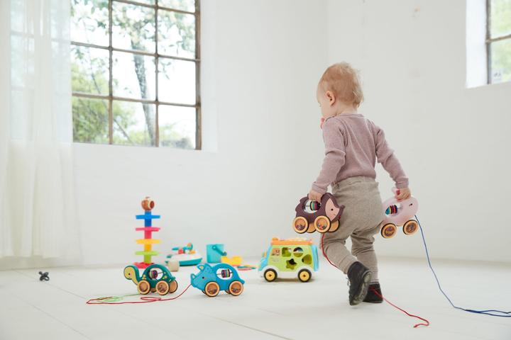 Actual product image Scandinavian Baby Products Rabbit pull