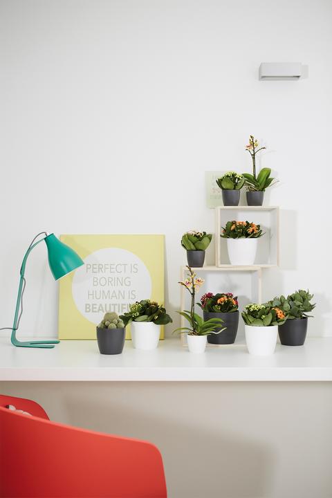Image du produit Elho Bruxelles (13 cm)