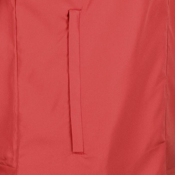 Image du produit adidas RBFA Belgique Veste de présentation EM 2020 Hommes (M)
