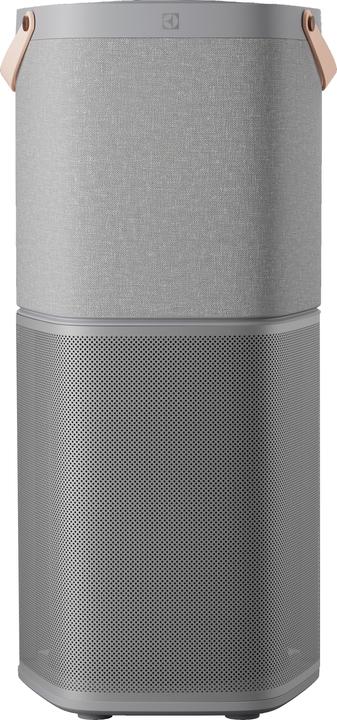 Electrolux EPO60771UG - Pure 600 Purificatore d'aria 698 m3/h (125 m²)