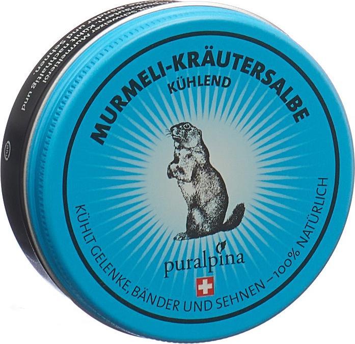 Actual product image Puralpina Murmeli herbal ointment cooling (1 x, 50 ml, 70 g)