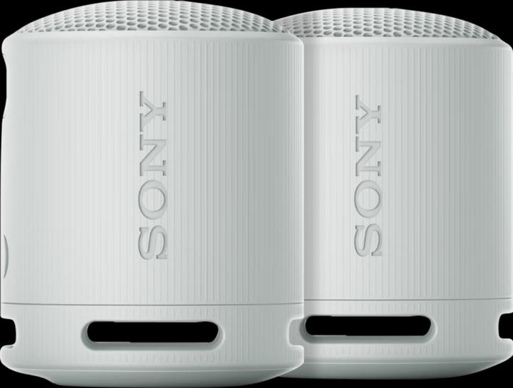 Sony SRS-XB100 Duo Pack Gray (16 h)