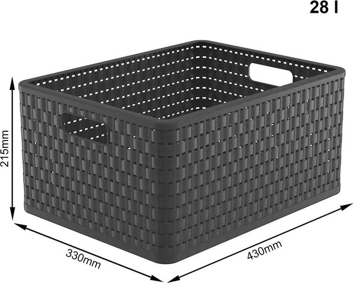 Immagine prodotto Rotho Paese (1 x, 43 x 33 x 21,5 cm)