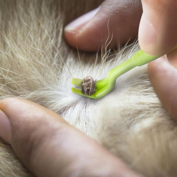 Immagine prodotto Suba Zeckenhaken (Cane, Gatto)