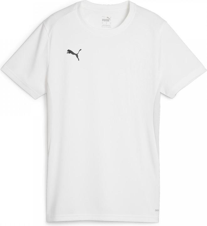 Produktbild Puma teamGOAL Jersey Wmn (M)