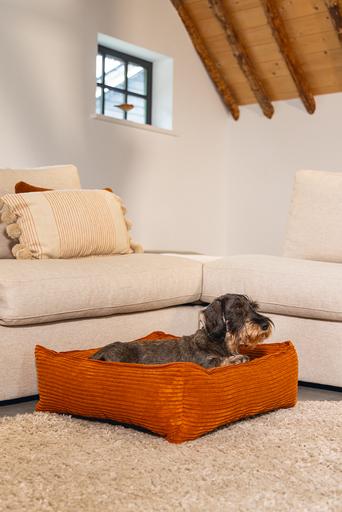 Image du produit Designed by Lotte Ribbed (Chien)