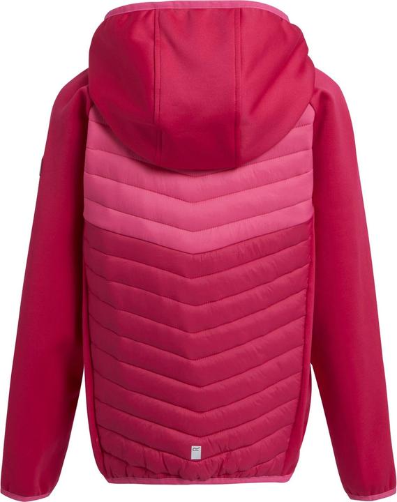 Actual product image Regatta Childrens/Kids Kielder VIII Hybrid Jacket (170, 176)