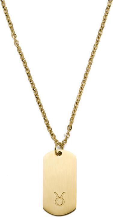 Image du produit Lucleon Zodiac (Acier inoxydable)