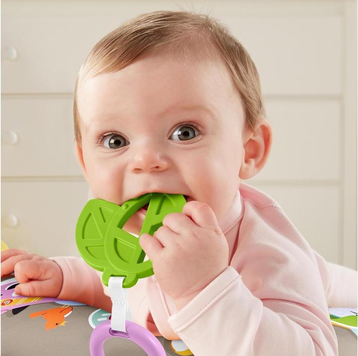 Immagine prodotto Fisher-Price Cuscino degli Amici del Bradipo (Tedesco)