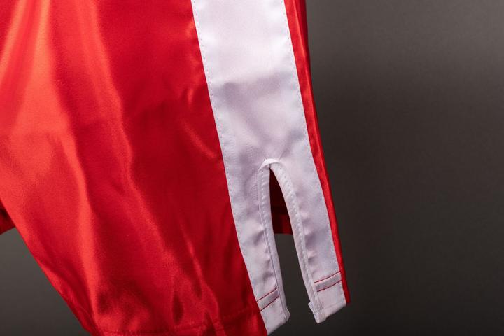Produktbild Budo.ch Boxing Shorts "King" (L)