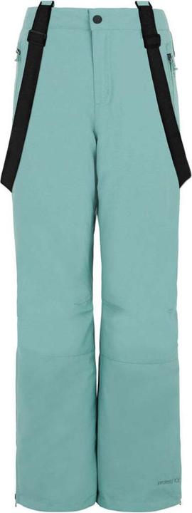 Crocodile Green