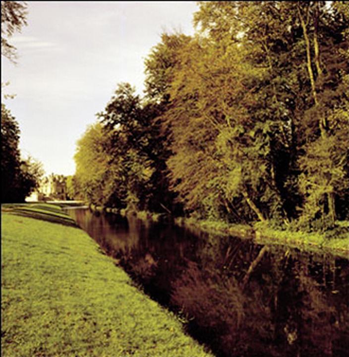 Immagine prodotto Cokin Filtro A029 85A (67 mm, Filtro Effetto, 67 mm)