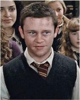 Noble Collection Harry Potter Wand Seamus Finnigan (Character Edition)