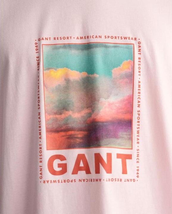 Produktbild GANT t-hirt wahed graphic (S)