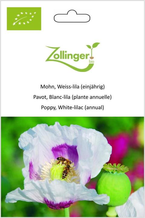 Produktbild Zollinger Bio Mohn, Weiss-lila (einjährig) (Keimlinge)