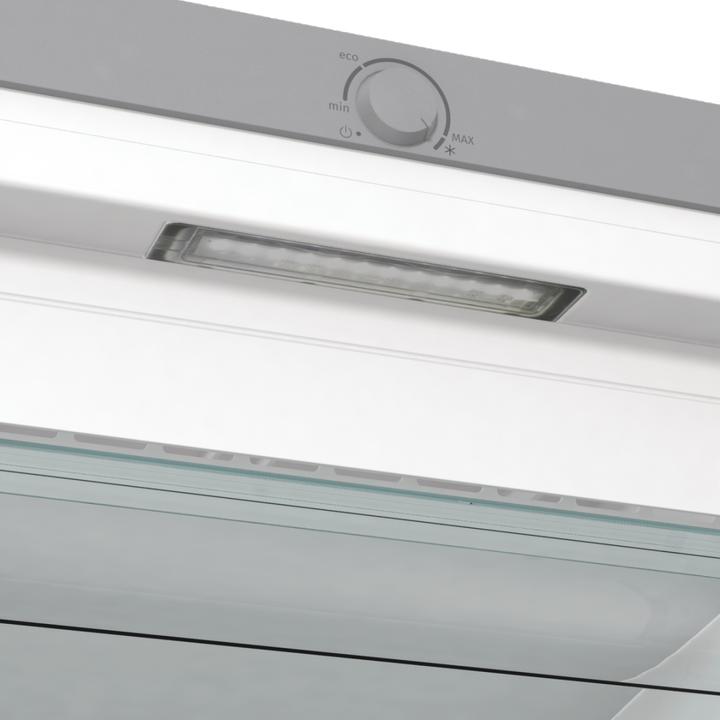 Produktbild Gorenje Gore GefSch FN 619 EES5 E inox (Freistehend, 280 l)
