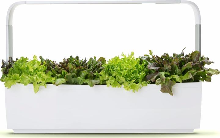 Produktbild Tregren Kräutertopf T12 Weiss (64.50 cm)