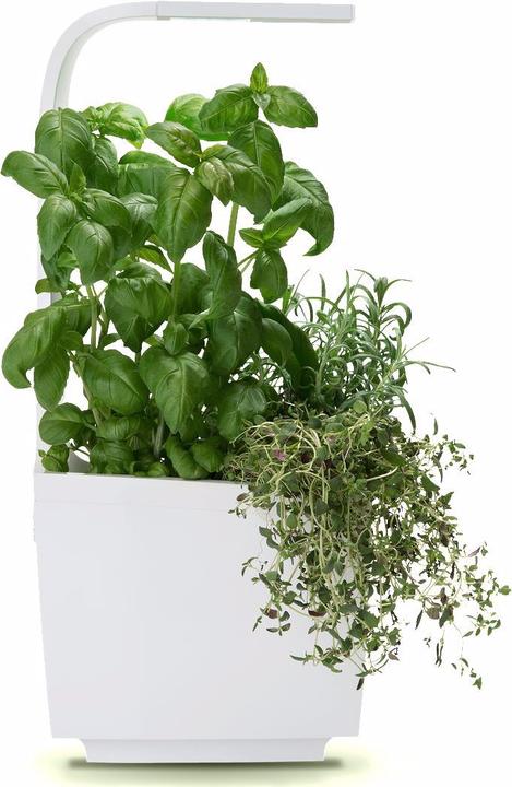 Produktbild Tregren Kräutertopf T3 (19.50 cm)