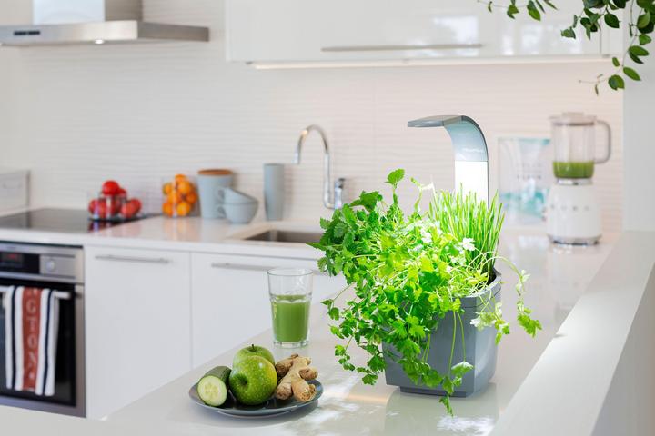 Actual product image Tregren Herb pot T3 (19.50 cm)