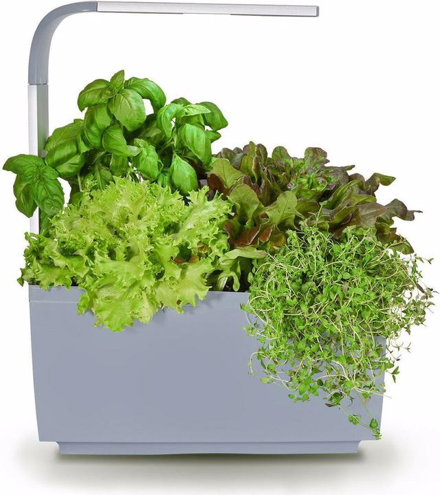 Tregren T6 Kitchen Garden (17.50 cm)