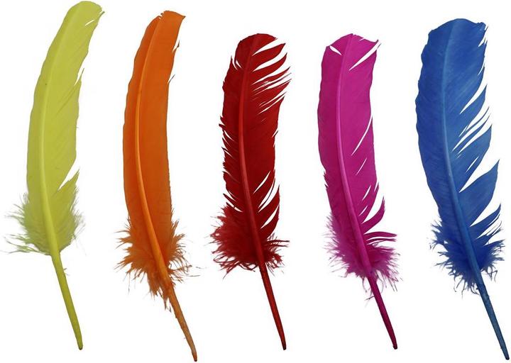 Produktbild Glorex Indianerfedern, bunt, 5St 28-30cm