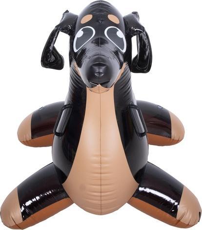 Image du produit Jilong Pompe SUP
