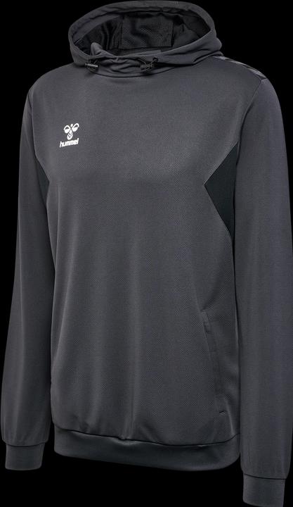 Actual product image hummel Hmlauthentic Pl Hoodie (XL)