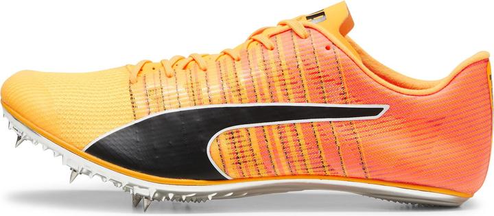 Produktbild Puma evoSPEED BRUSH 6 (47.5)