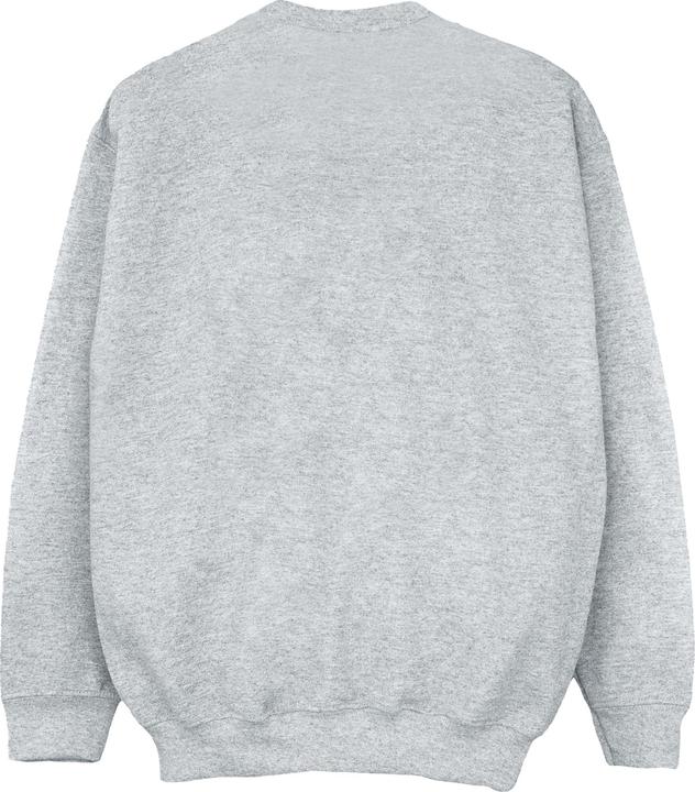 Immagine prodotto Looney Tunes Felpa garçon Bugs Bunny Circle Logo (152, 158)